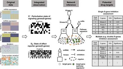 NEM-Tar: A Probabilistic Graphical Model for Cancer Regulatory Network Inference and Prioritization of Potential Therapeutic Targets From Multi-Omics Data